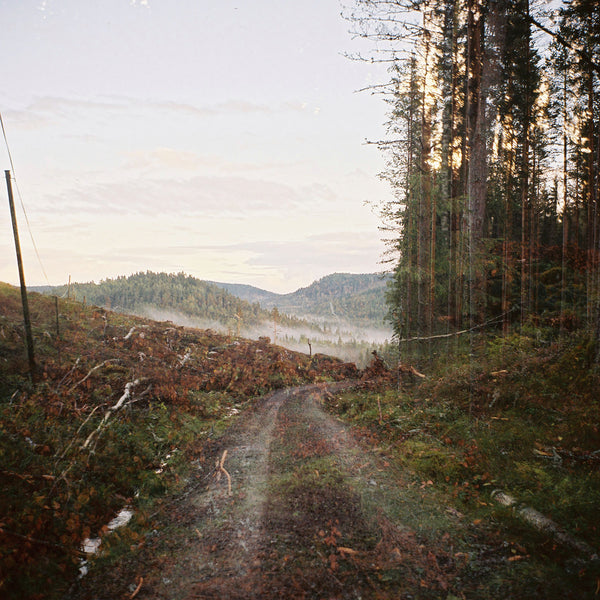 Floating Clear Cut, Photography by Anna Lilleengen